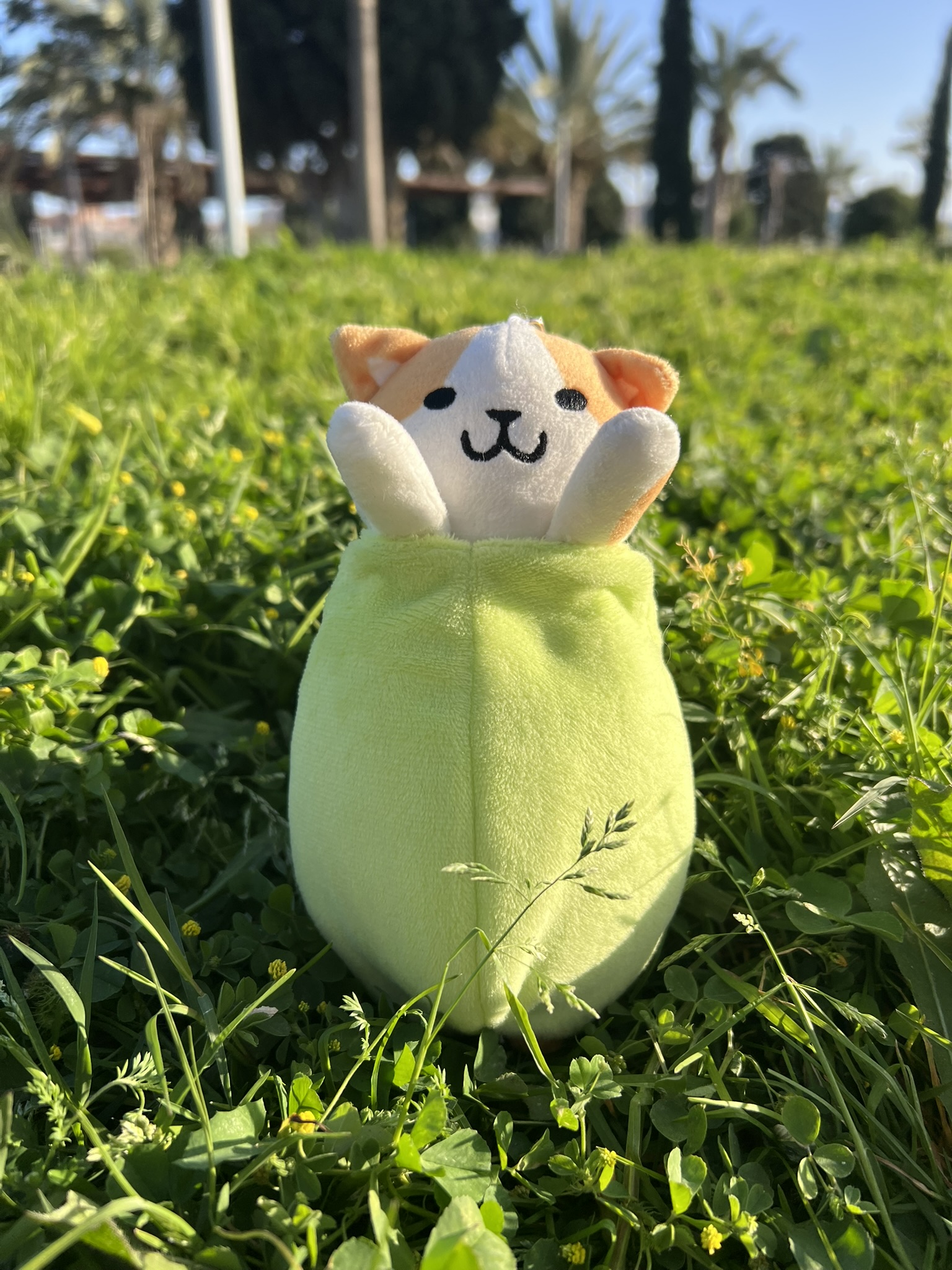 Peluche de Benjamín el gato aceituno. También es llavero y se puede sacar de la aceituna. Fondo de césped verde.
