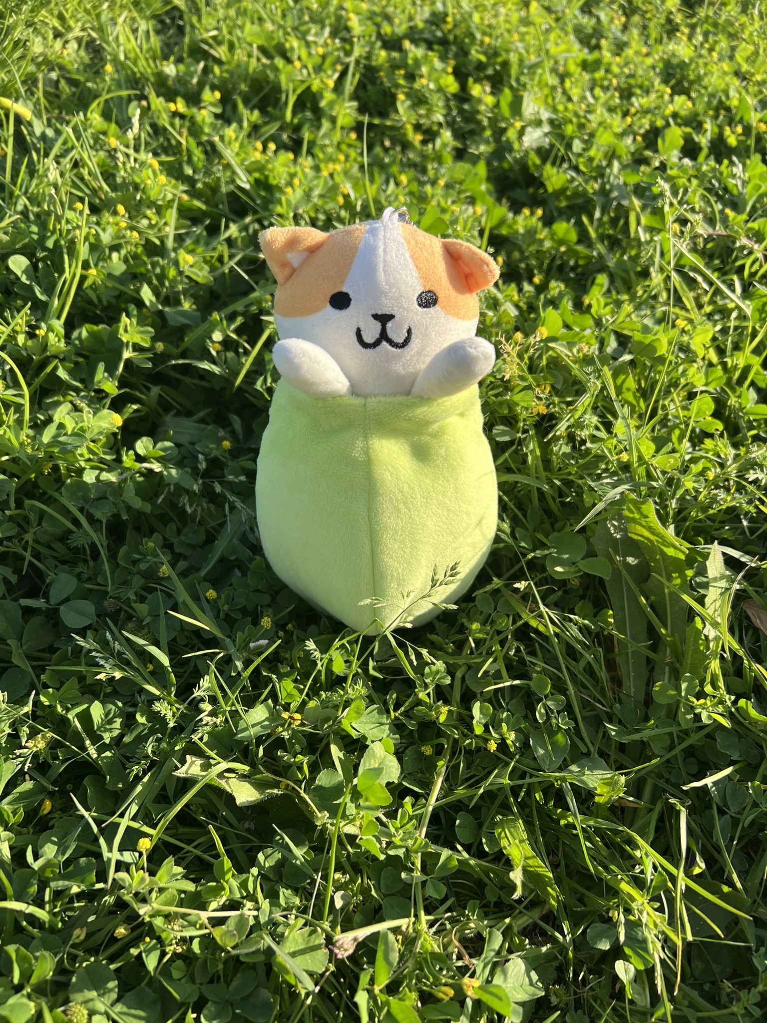 Peluche de Benjamín el gato aceituno. También es llavero y se puede sacar de la aceituna. Fondo de césped verde.