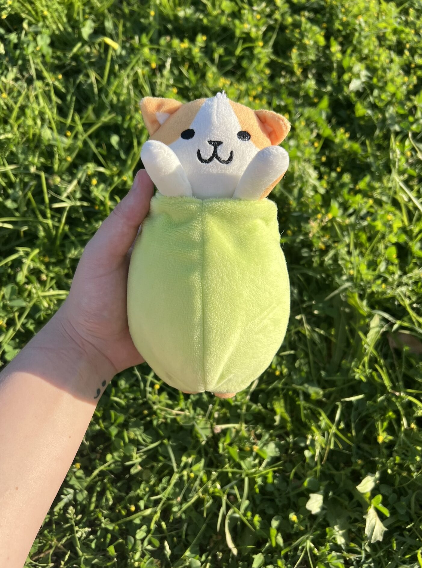 (PRE-VENTA) – Peluche llavero de Benjamín, el gato aceituno