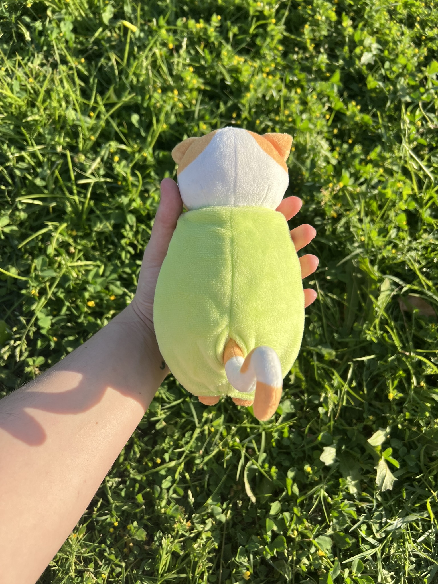 Peluche de Benjamín el gato aceituno. También es llavero y se puede sacar de la aceituna. Fondo de césped verde.