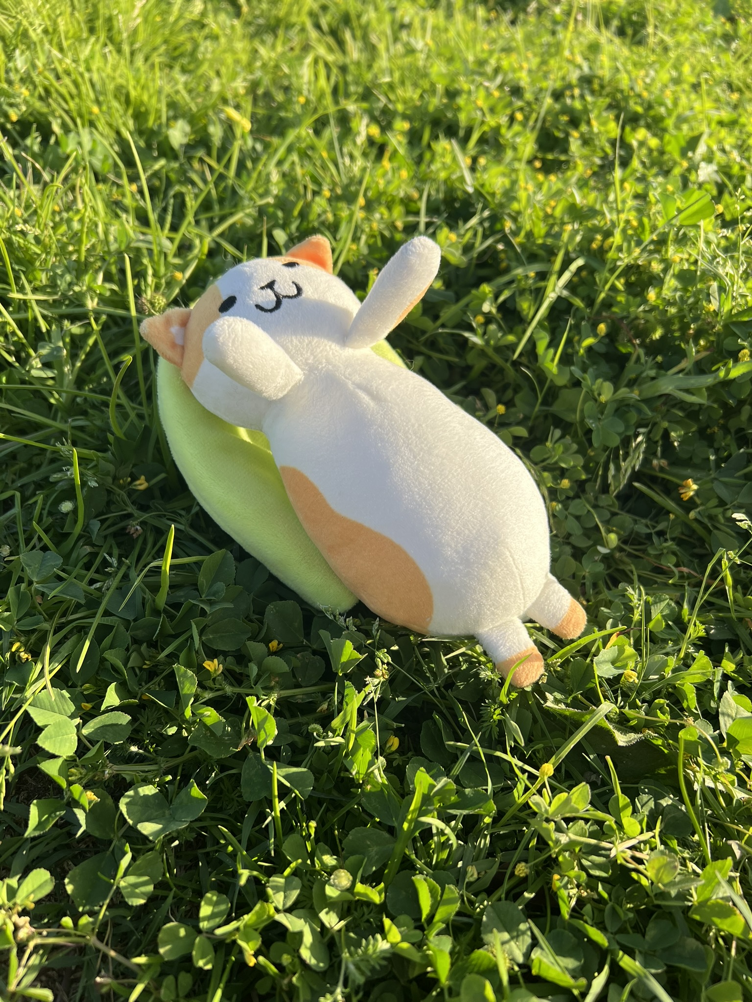 Peluche de Benjamín el gato aceituno. También es llavero y se puede sacar de la aceituna. Fondo de césped verde.