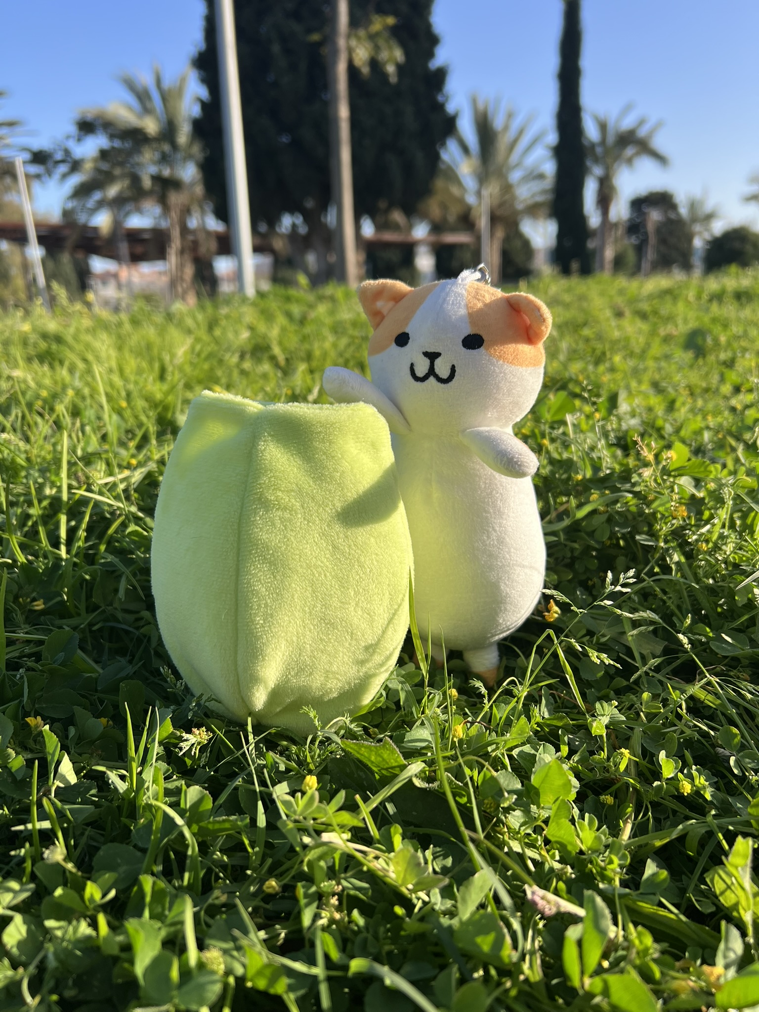 Peluche de Benjamín el gato aceituno. También es llavero y se puede sacar de la aceituna. Fondo de césped verde.